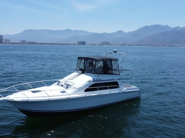 Motorboat rental with or without captain Custom Made Puerto Vallarta