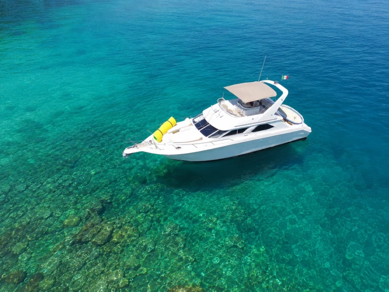 Motorboat rental with or without captain Custom Made Puerto Vallarta