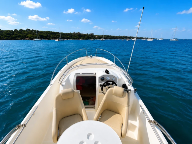Jeanneau Cap Camarat 555 WA charter bareboat or captained in  Mandelieu-la-Napoule
