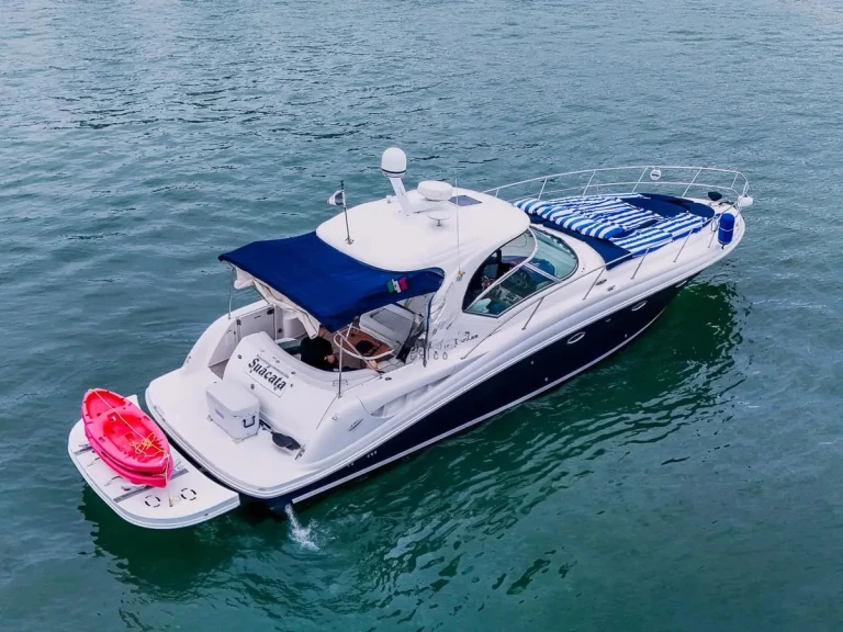 Motorboat for rent Puerto Vallarta at the best price