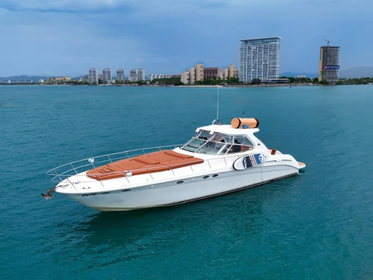 Motorboat rental with or without captain Custom Made Puerto Vallarta