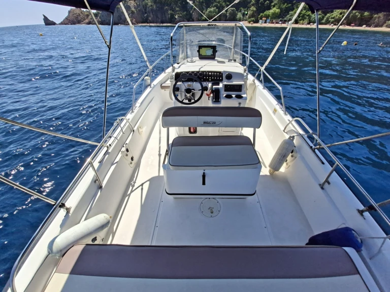 Boat rental Boston Whaler Boston Whaler 220 Dauntless in Port de la Rague on Samboat