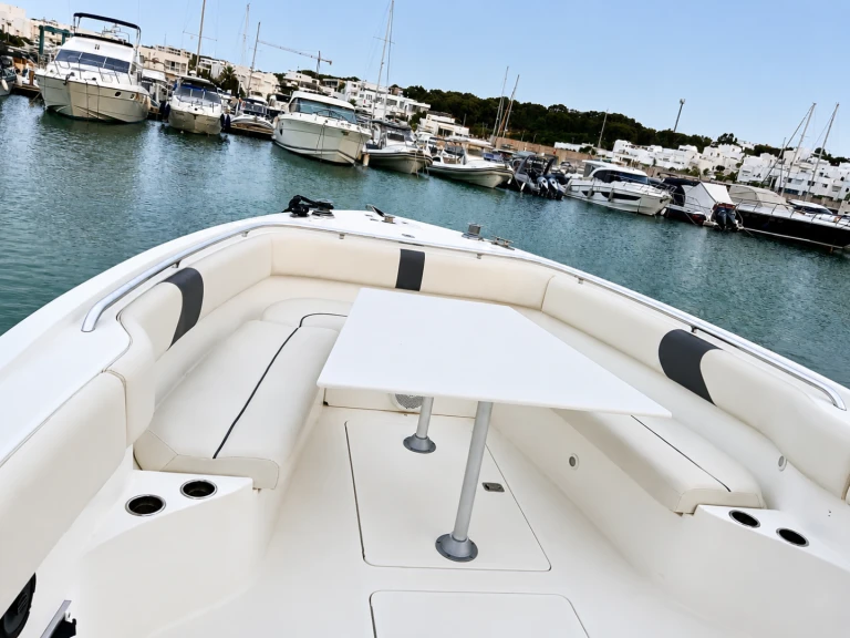 Motorboat for rent Gammarth at the best price