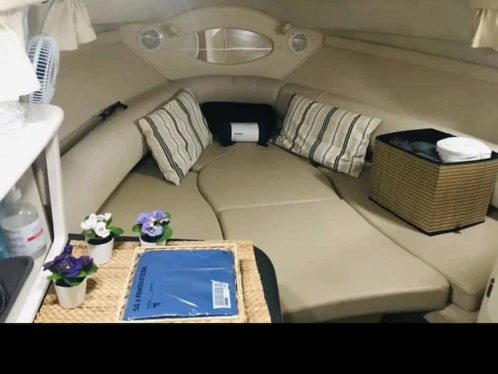 Yacht charter Marbella cheap 242 cruiser
