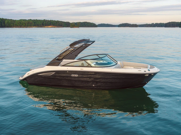Sea Ray  250 sdx charter bareboat or captained in  Port d'Arcachon