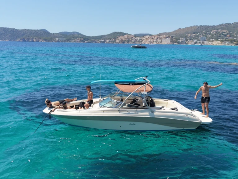 Rent a Sea Ray Sea Ray 260 Santa Ponsa