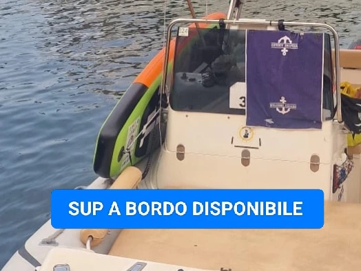 Boat rental Lord  Lord 20 in Palermo on Samboat