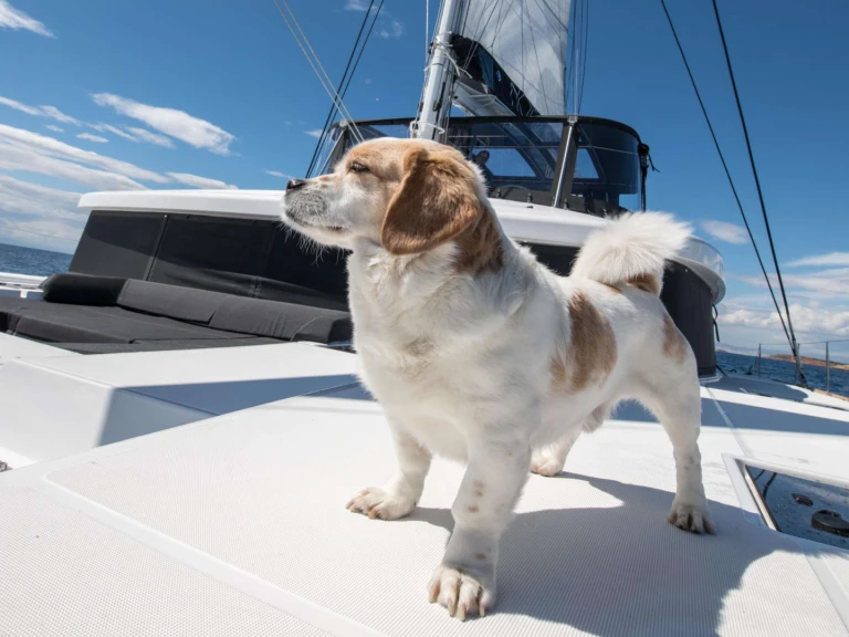 Yacht charter Greece cheap NOMAD