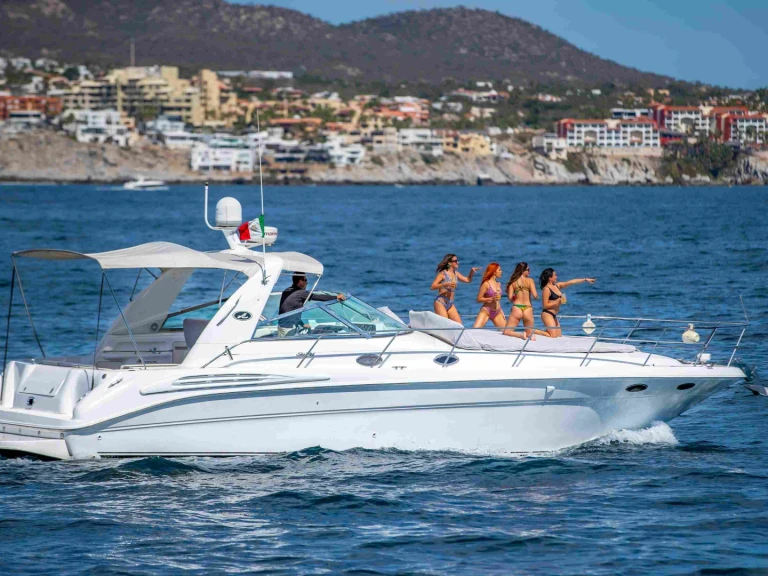 Motorboat rental in Cabo San Lucas - Sea Ray Sea Ray 420 Sundancer