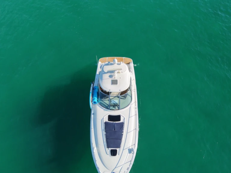 Sea Ray Sea Ray 455 Sundancer charter bareboat or captained in  Cabo San Lucas