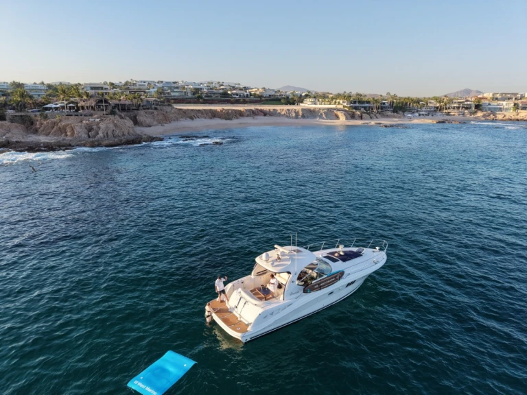 Motorboat rental in Cabo San Lucas - Sea Ray Sea Ray 455 Sundancer