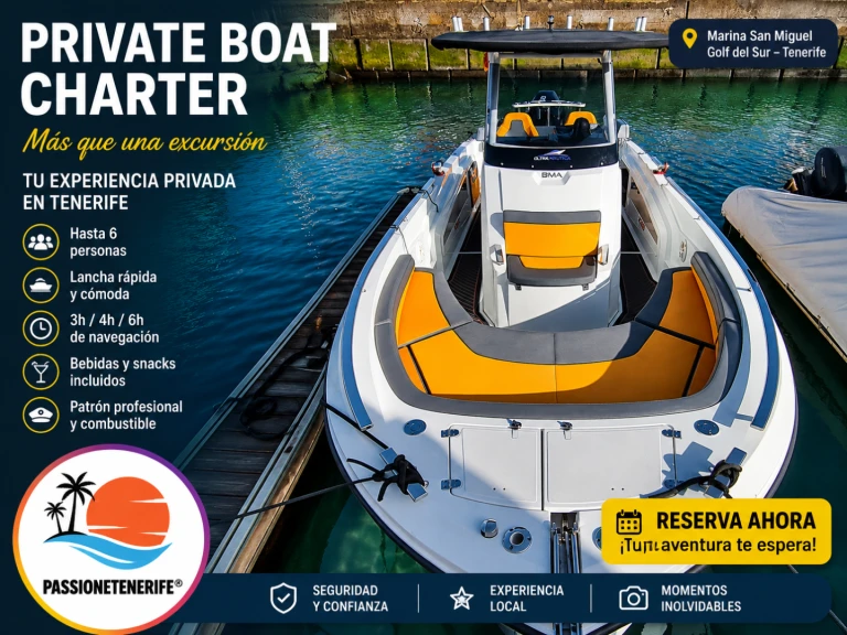 Boat rental BMA X266 Sun & Fish in Marina San Miguel on Samboat