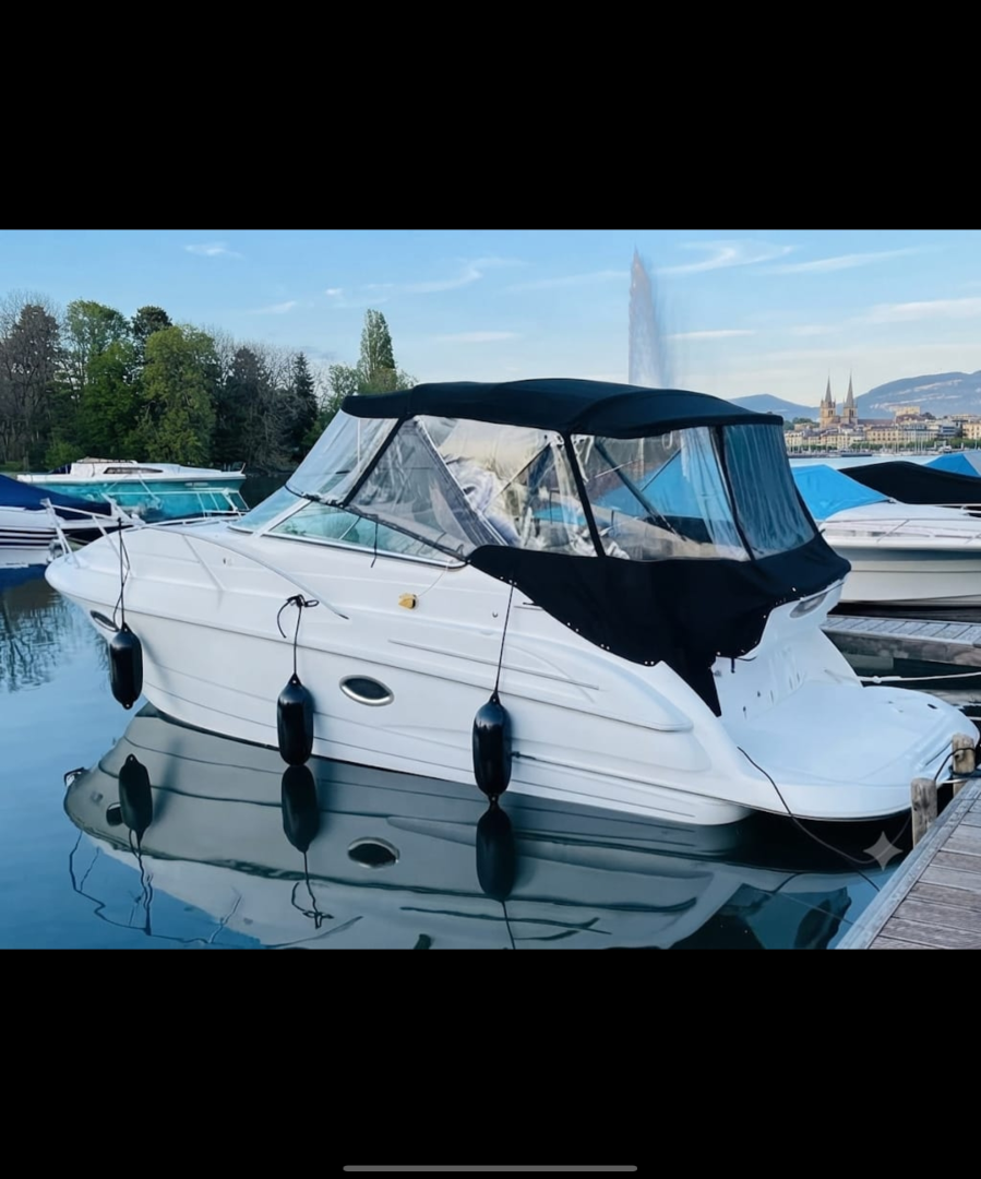 Motorboat for rent Geneva (City) at the best price