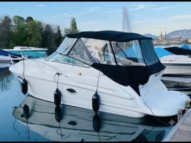 Motorboat for rent Geneva (City) at the best price