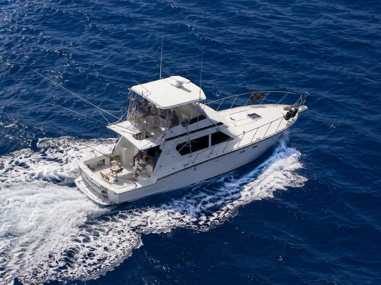 Boat rental Custom Made custom in Puerto Rico on Samboat