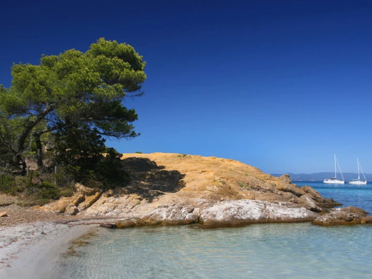 Motorboat rental with or without captain Quicksilver Hyères