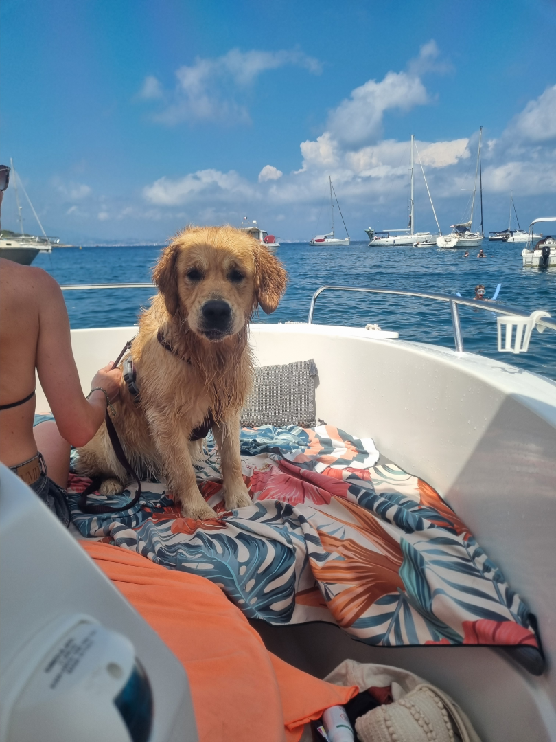 Pacific Craft Pacific Craft 545 Open charter bareboat or captained in  Saint-Laurent-du-Var