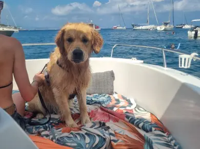 Pacific Craft Pacific Craft 545 Open charter bareboat or captained in  Saint-Laurent-du-Var