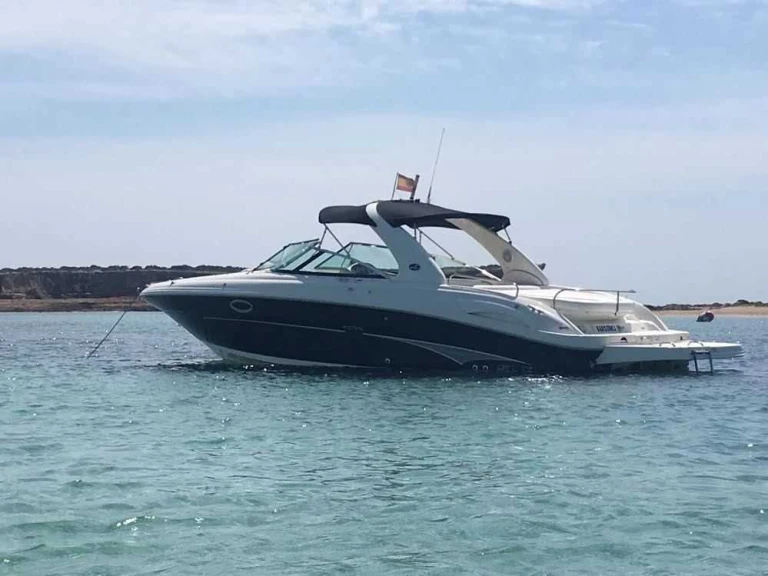 Motorboat rental in Puerto Portals - Sea Ray Sea Ray 290 SLX
