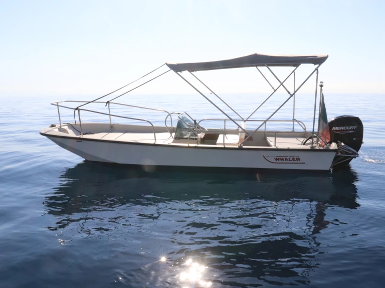 Boat rental Boston Whaler Boston Whaler 17 in Riposto on Samboat