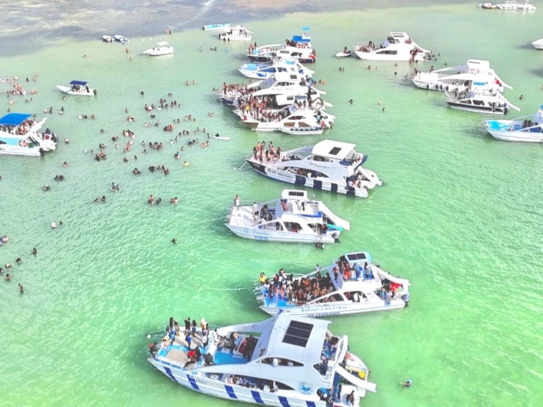Ocean Yachts Ocean Star 60.1 in Punta Cana on SamBoat