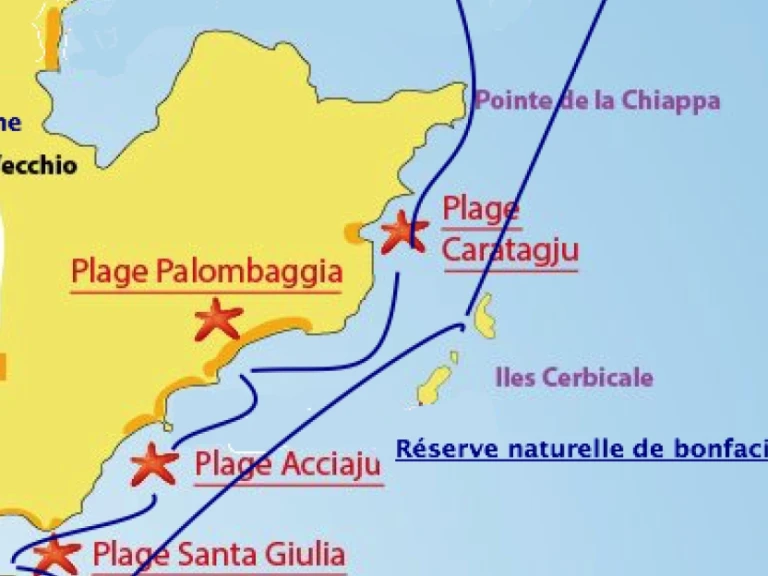 Rent a Motonautica-Vesuviana MV 700 Porto-Vecchio