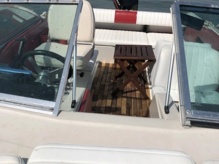 Sea Ray Seville 16 charter bareboat or captained in  Divatte-sur-Loire