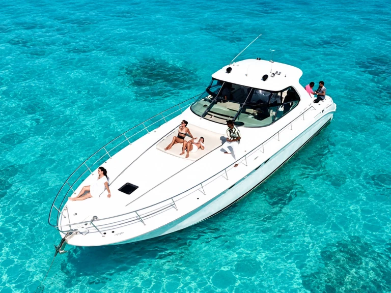 Custom Made custom in Cancún on SamBoat