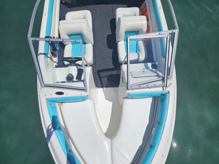 Motorboat rental with or without captain Larson Annecy
