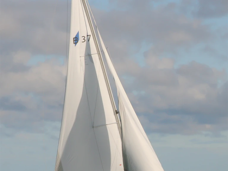 Yacht charter Heiligenhafen cheap Cruiser 37