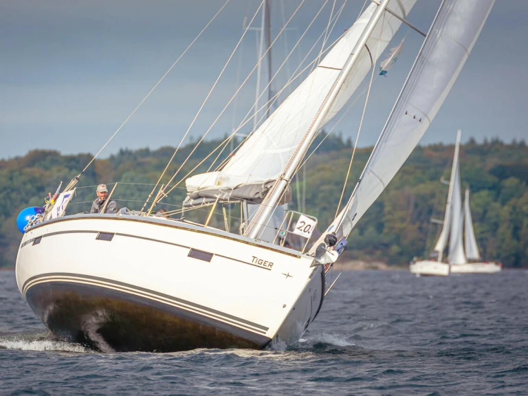 Boat rental Bavaria Cruiser 37 in Flensburg on Samboat
