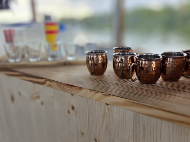 Motorboat rental with or without captain Custom Berlin