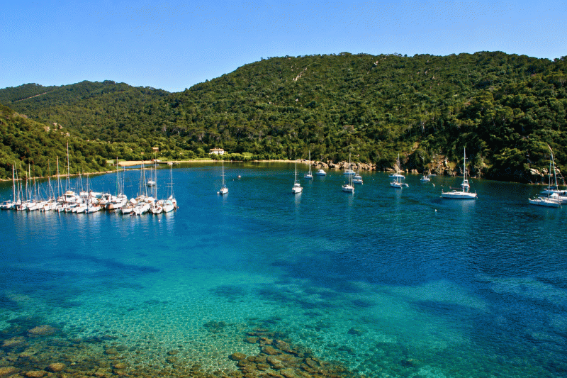 Port-Cros Bay with sailboats at anchor